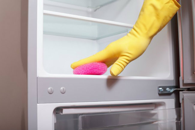 Vệ sinh miếng đệm cao su giữa cửa tủ lạnh bằng khăn ướt để cửa luôn được đóng khít